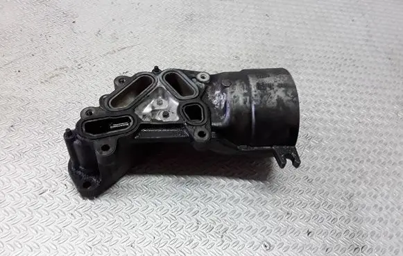Peugeot 207 Oil filter mounting bracket 965669980