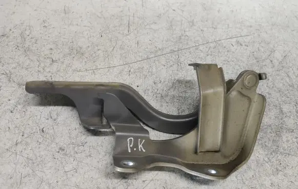 Opel Antara Engine bonnet/hood hinges