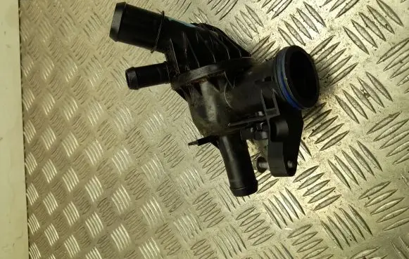 Thermostat/thermostat housing