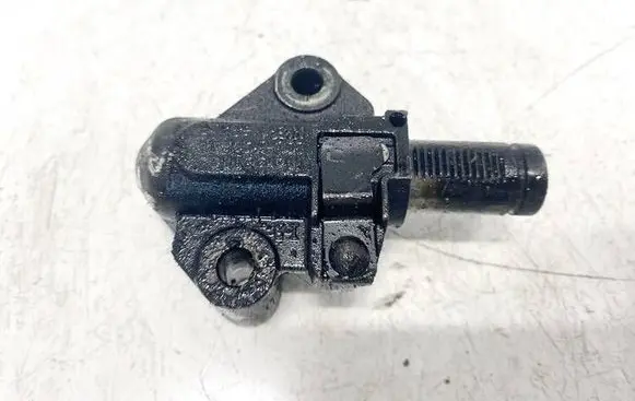 Peugeot Boxer Slide rail for timing chain 