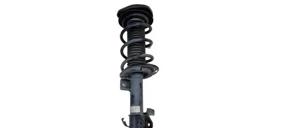Ford Escape IV Front shock absorber with coil spring LX6118045 LX6118045NAD FLB017