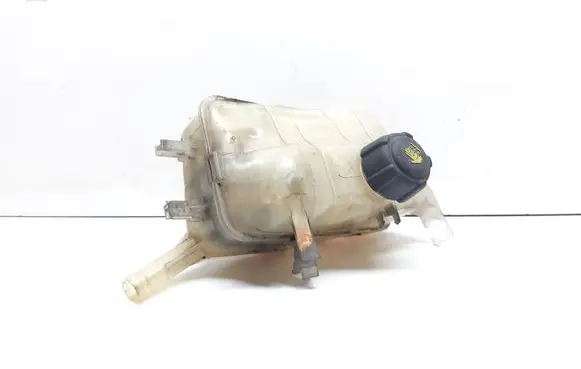 Renault Scenic III - Grand scenic III Coolant expansion tank/reservoir 217100005R
