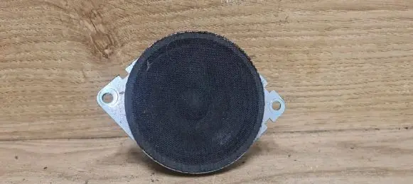Panel speaker