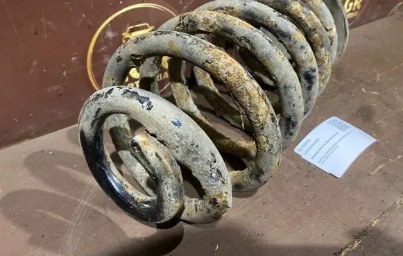 Rear coil spring