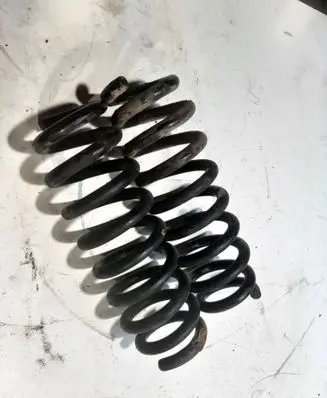 Rear coil spring