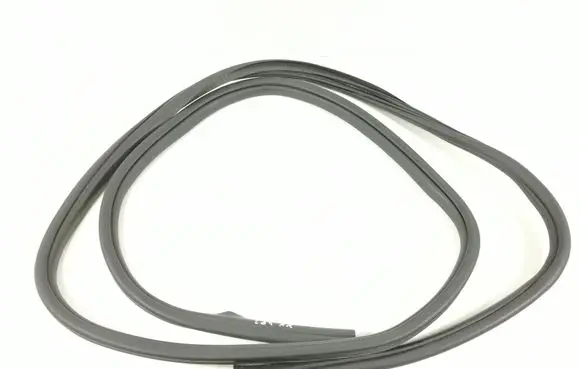 Dodge RAM Rear door rubber seal (on body) Unknown