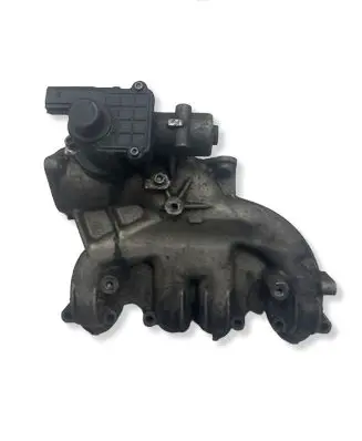 Volkswagen PASSAT B5.5 Intake manifold 038129713