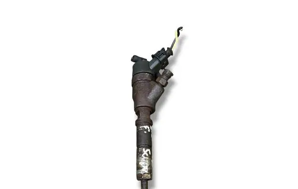 Fiat Scudo Fuel injector 0445110076 9653594280