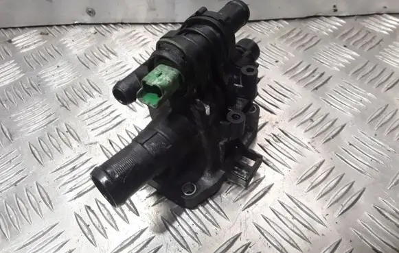 Thermostat/thermostat housing