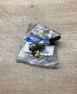 Hyundai Santa Fe Front door lock 819404AA00