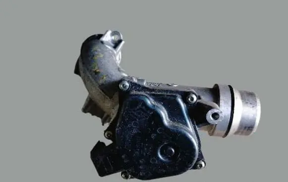 Renault Megane III Throttle valve 8200614985
