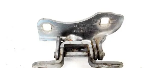 Chrysler 300 - 300C Rear door lower hinge