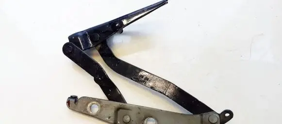 Tailgate/trunk/boot hinge