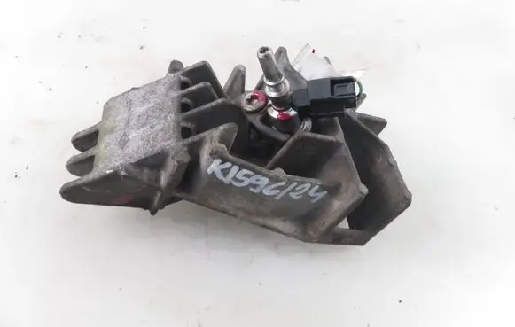Renault Clio III FAP injector 8200771226