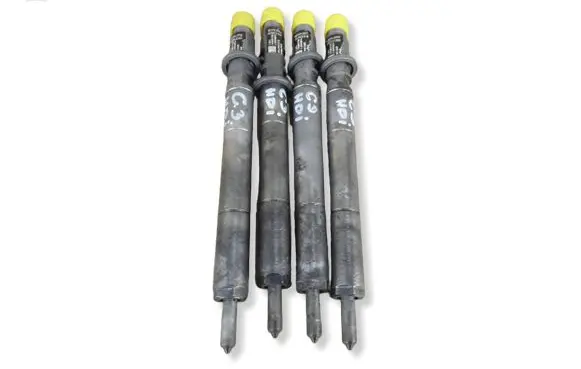 Citroen C3 Fuel injector 9650059780 0026MW13W09 EJBR01001A