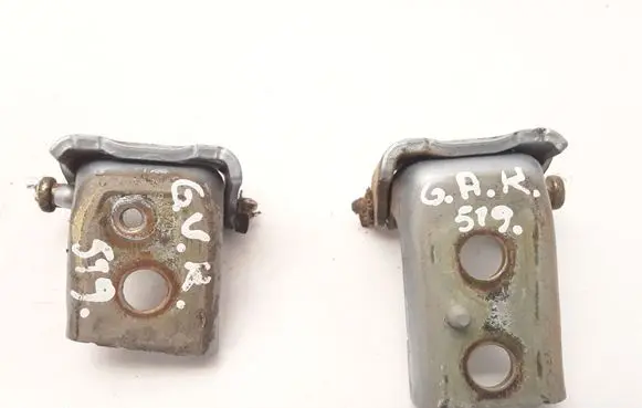 Citroen C5 Rear door hinge set 