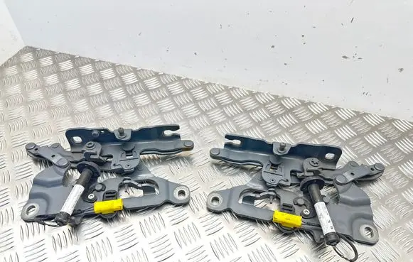 BMW 5 F10 F11 Engine bonnet/hood hinges 7249888