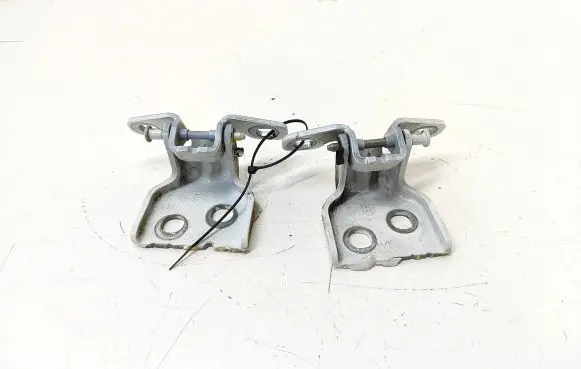 Dacia Lodgy Rear door hinge set 