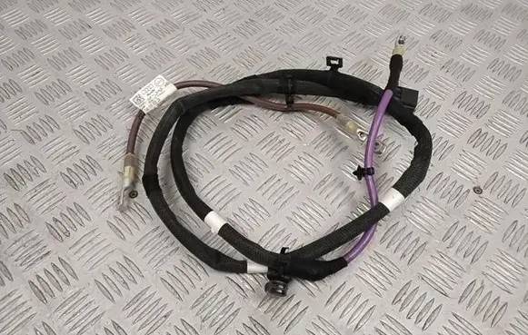 Audi A8 S8 D5 Positive cable (battery) 4N0971227AR