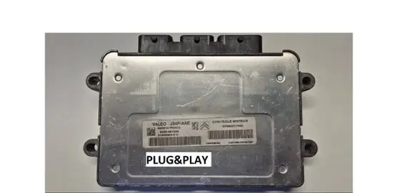 Peugeot 206 Engine control unit/module 9663717680 215859845 34PA