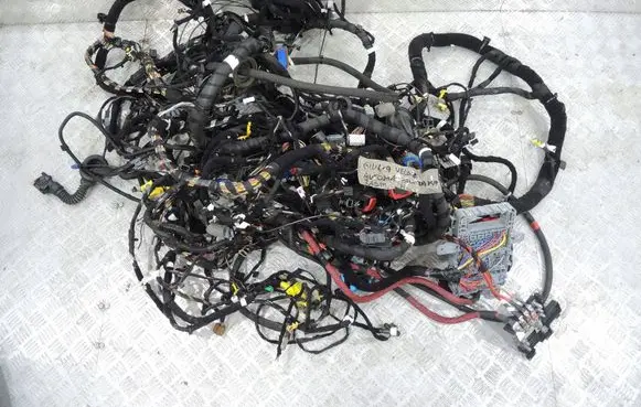 Alfa Romeo Giulia Other wiring loom
