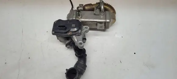 Renault Trafic III (X82) EGR valve 147102408R 147350678R