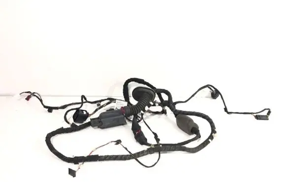 Rear door wiring loom