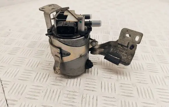 Renault Kadjar Fuel filter 