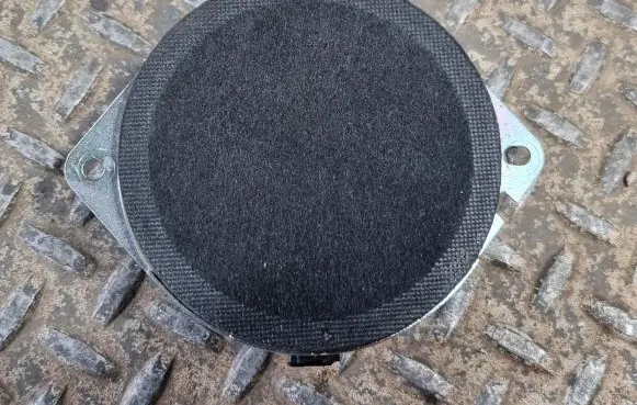 Panel speaker