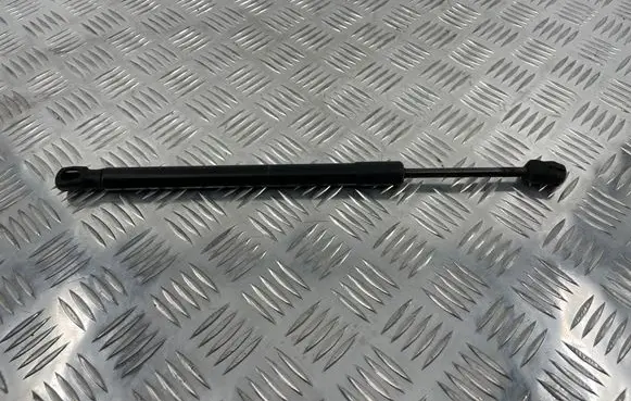 BMW X5 F15 Front bonnet/hood damper/strut 7308065