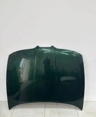 Engine bonnet/hood