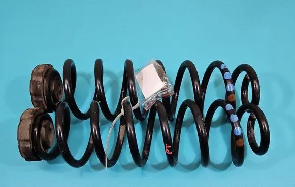 Rear coil spring