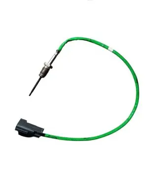 Ford Fiesta Exhaust gas temperature sensor H1B112B591AB