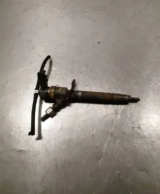 Volvo V70 Fuel injector 0445110251