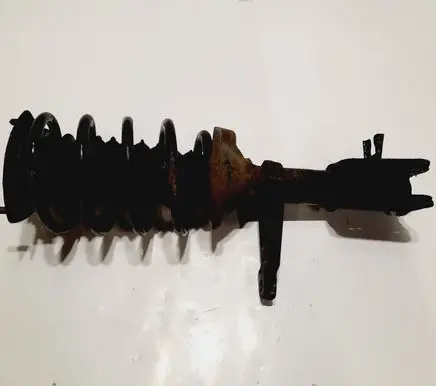 Land Rover Freelander Rear shock absorber with coil spring 2219013025V6