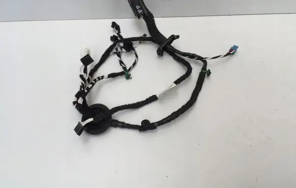 Front door wiring loom