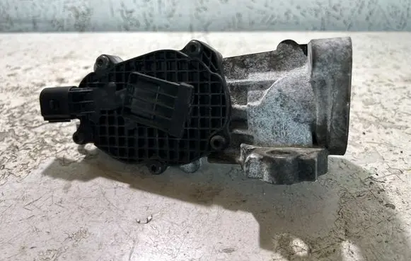 Citroen C3 EGR valve 55567724 0063 8900
