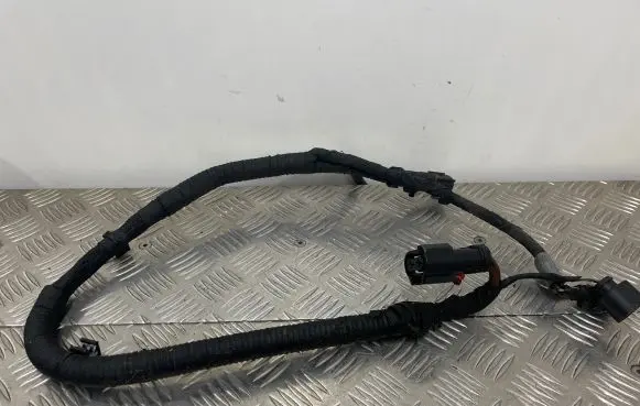 Audi Q5 SQ5 Other wiring loom 80B971111