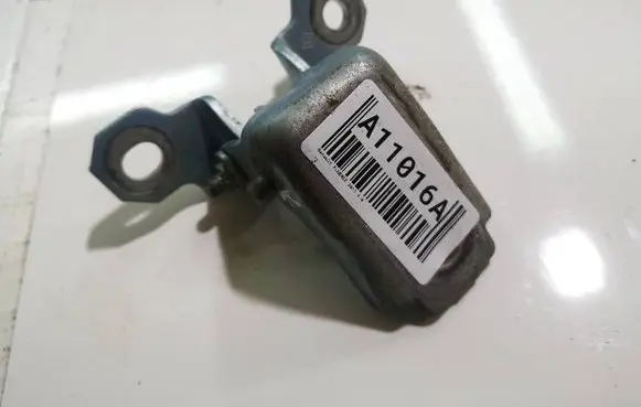 Renault Fluence Front door upper hinge 