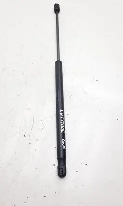 Renault Latitude (L70) Tailgate/trunk strut/damper 904520001R