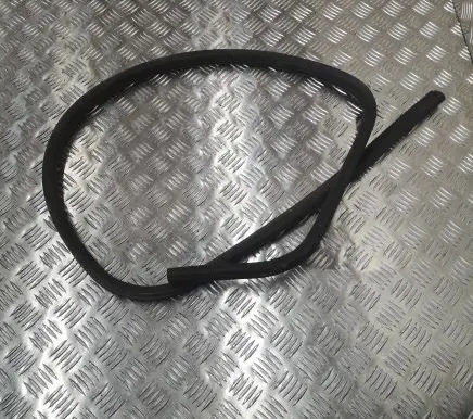 Dodge Grand Caravan Sliding door rubber seal 