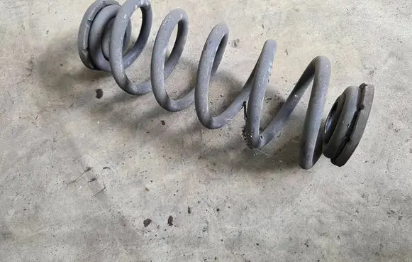 Rear coil spring