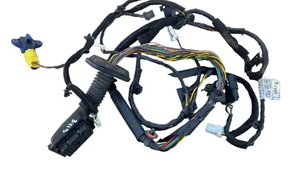 Hyundai i20 (GB IB) Front door wiring loom 91611C8631 HC8F0131 959203T200