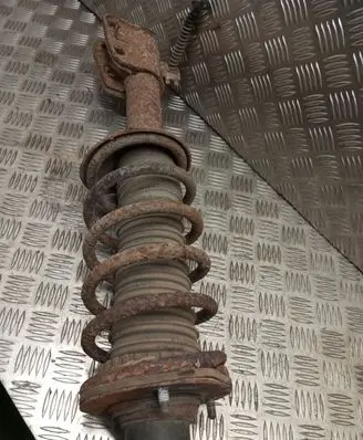 Land Rover Freelander Rear shock absorber with coil spring 