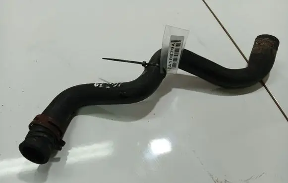 Ford Focus Engine coolant pipe/hose