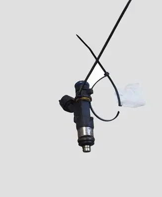 Nissan Murano Z50 Fuel injector 0280158042
