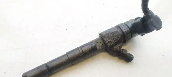 Fiat Stilo Fuel injector 0445110243