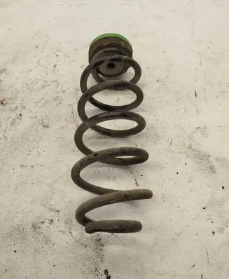 Rear coil spring
