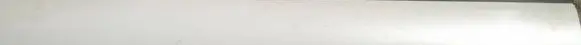 Lexus RX 300 Front door glass trim molding 