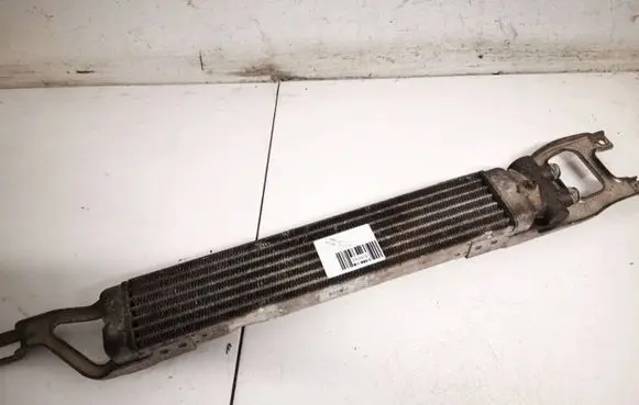 Mercedes-Benz A W169 Engine oil radiator a1695000200